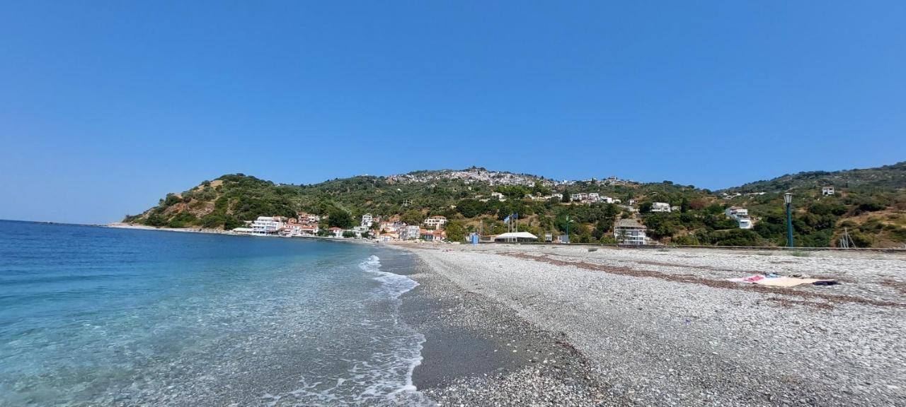 Mirsinia Apartments - Skopelos Loutraki  Extérieur photo